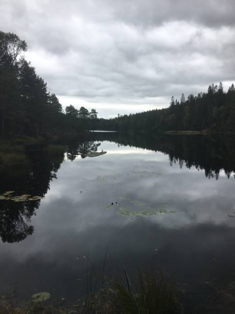 istock Small lake in dalsland sweden 1256736618