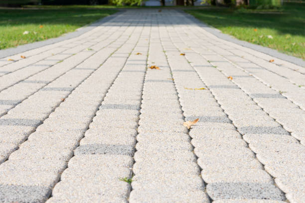 istock Empty stone pedestrian road with green grass on two sides of it. 1256738149