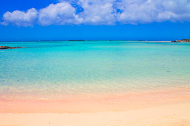 istock Beach with pink sand and turquoise water and clouds in blue sky. 1256741932