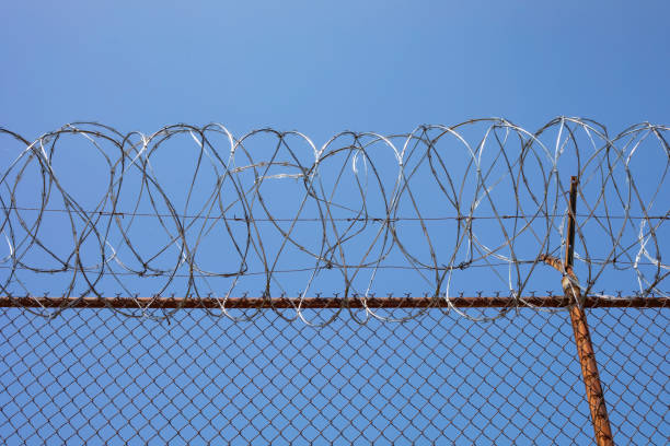 istock Barbed Wire Fence 1256743462