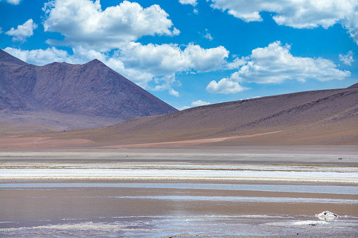 Travel in Nambia, discovering the Salar de Uyuni and the Laguna colorada