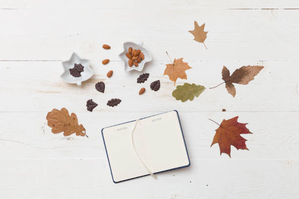 istock Top view on autumn background: leaves, chocolate, nuts on wooden white board. 1256743532
