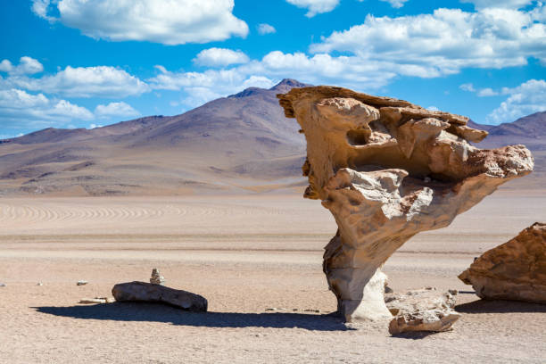 istock Salar de Uyuni and Laguna colorada 1256743642