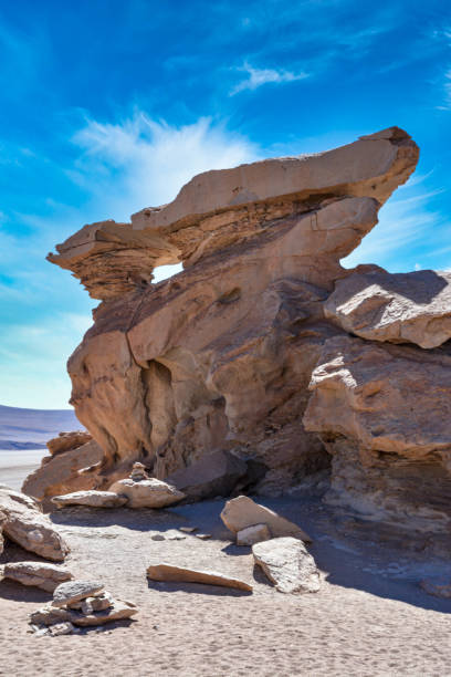 istock Salar de Uyuni and Laguna colorada 1256743762