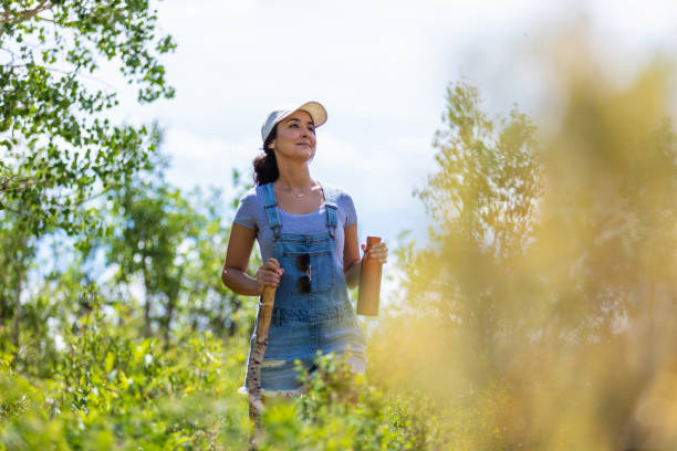 istock Millennial Female Enjoying and Solo Hiking in Mountain Setting 1256753443