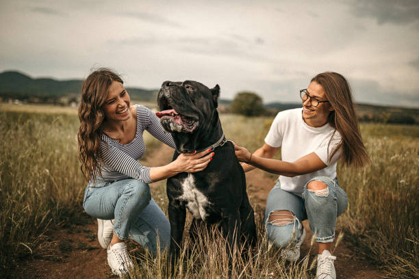 istock Sisters playing with dog in flower field 1256754258