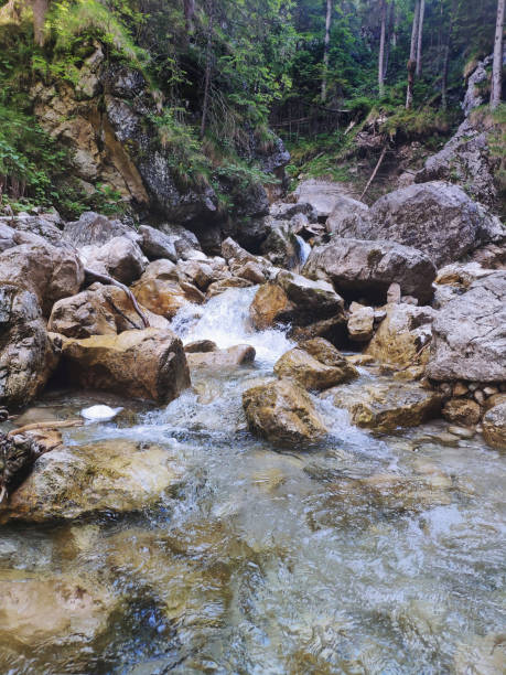 istock Waterfalls at the Neuschwanstein castle, Germany 1256754300