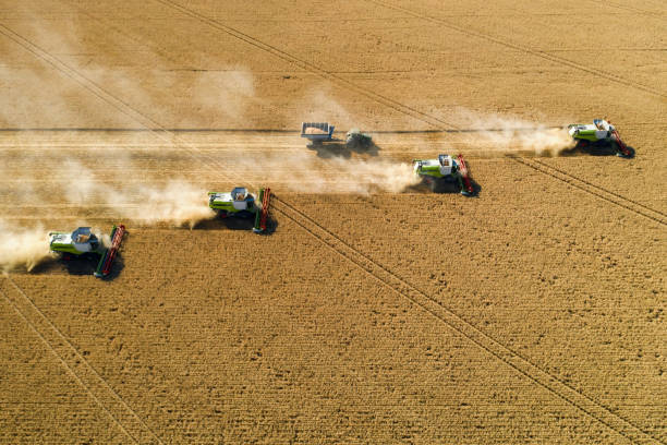 istock Harvesting In Agriculture Crop Field. 1256755254