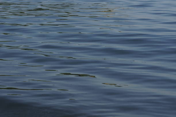 istock View of blue sea surface with ripple pattern on the sea surface 1256755577