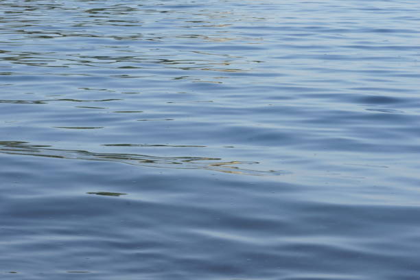 istock View of blue sea surface with ripple pattern on the sea surface 1256756236