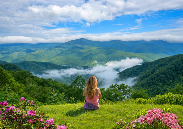 Woman sitting on top of the mountain on summer trip. Girl relaxing on top of the mountains over the clouds. Woman enjoying  beautiful summer mountain view with blooming flowers. Near Asheville, Blue Ridge Mountains, North Carolina, USA. blue ridge parkway photos stock pictures, royalty-free photos & images