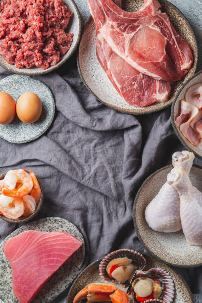istock Animal protein sources background with copy space. Carnivore diet concept. Meat, cheese, fish, eggs and seafood 1256756484