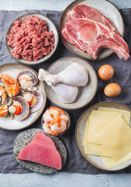 istock Animal protein sources background with copy space. Carnivore diet concept. Meat, cheese, fish, eggs and seafood 1256756581