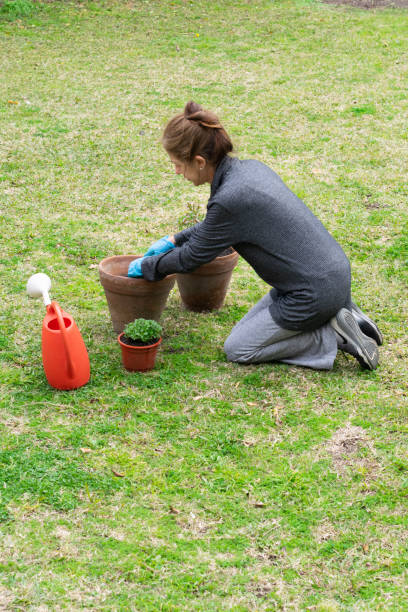 istock Woman working on gardening 1256763424