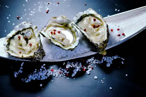 The Ebro Delta is an oyster farming area in the Catalonia region. The fresh water of the Ebro river meets salt water, and are therefore plankton-rich waters. Delta Oysters are tasty and grow rapidly.