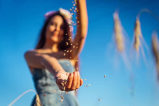 istock Young woman  sprinkling wheat grains 1256765545