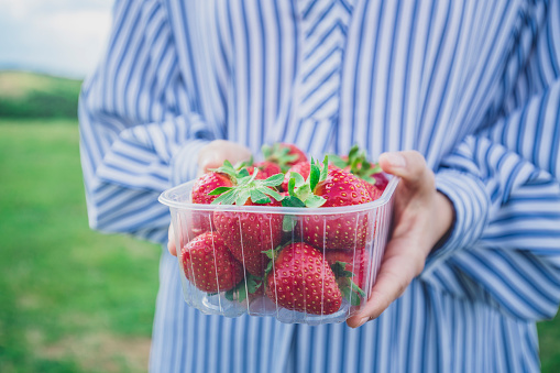 A view of an unrecognizable person that's holding a little strawberry heaven in their hands. Bon appetit!