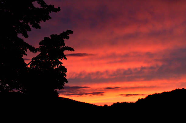 istock Silhouette of trees and mountains in background at sunset. 1256776896