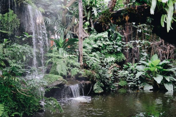 istock watefall & pond plant tree in garden park 1256776994