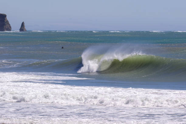istock Waves Breaking in the ocean close to Tokyo 1256780141