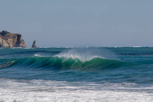 istock Waves Breaking in the ocean close to Tokyo 1256780199