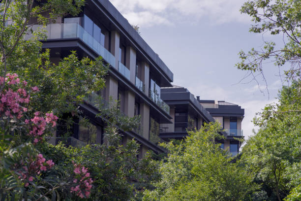 istock modern house living urban with nature 1256782543