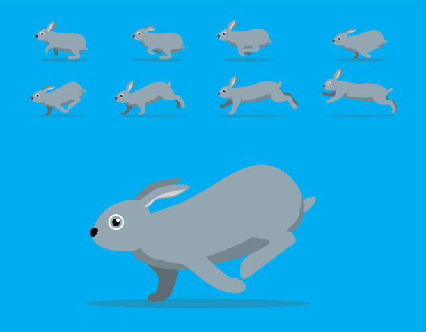 180+ Grey Rabbit Running Stock Illustrations, Royalty-Free Vector ...