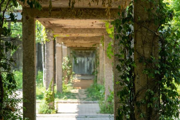 istock An underground garden with a cool in the shade. 1256789106
