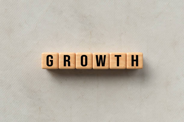 istock wooden blocks with the word GROWTH - 3d illustration 1256789215