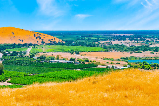 limpando a neblina no vale de san joaquin, o centro agrícola da califórnia. - san joaquin valley - fotografias e filmes do acervo