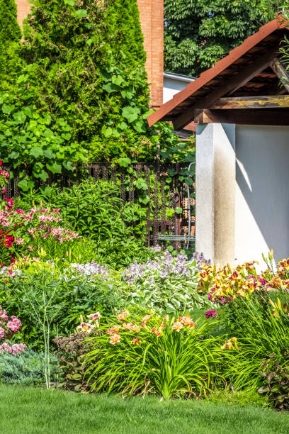 istock Landscaping of the backyard 1256791436