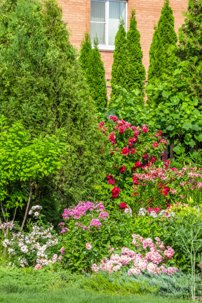istock Landscaping of the backyard 1256791444