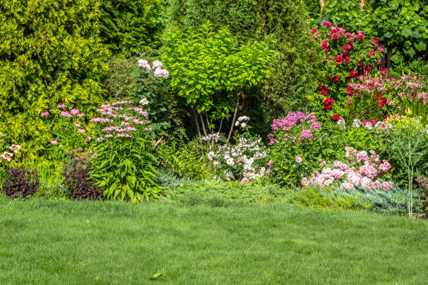 istock Landscaping of the backyard 1256791448