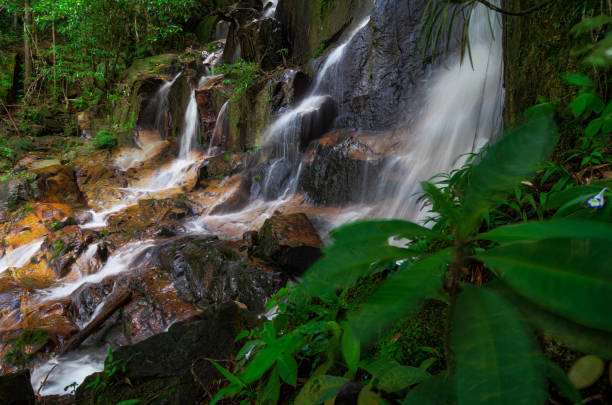 istock Waterfall stream flowing in the tropical rainforest and moss covering the stone. 1256793740