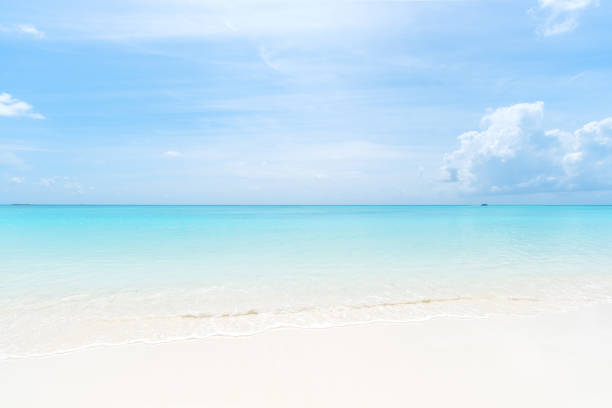 istock Beautiful beach and turquoise sea with clear sky background 1256799605