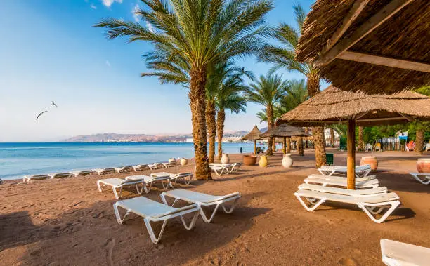 Photo of Serene day at sandy beach of the Red Sea, Middle East