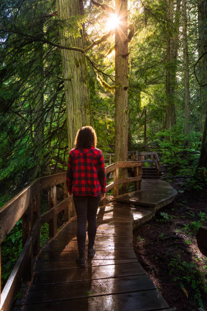 istock Girl Hiking in Rain Forest 1256802593