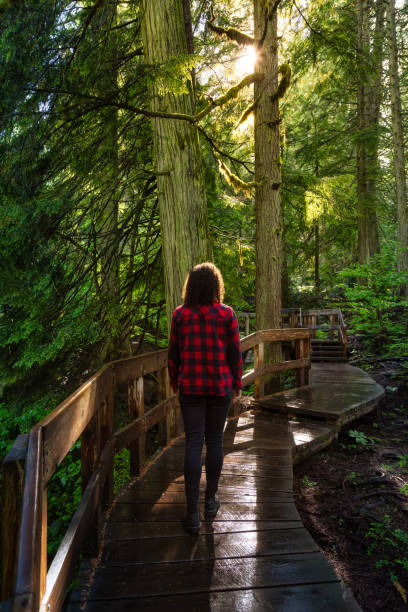 istock Girl Hiking in Rain Forest 1256802608