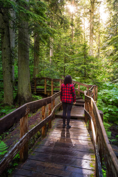 istock Girl Hiking in Rain Forest 1256802695