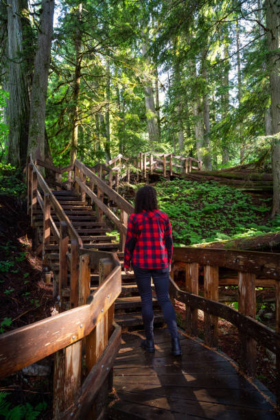 istock Girl Hiking in Rain Forest 1256802847