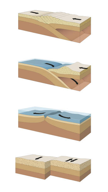 Tectonic plate. Cross-section A cross section illustrating the main types of tectonic plate boundaries. convergent, divergent, or transform. Earthquakes, volcanic, mountain-building occur along these plate boundaries fault geology stock illustrations