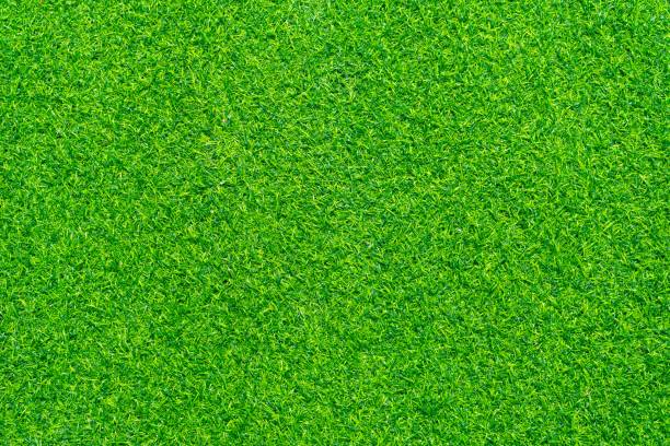istock Close up shot of Artificial grass texture 1256807483