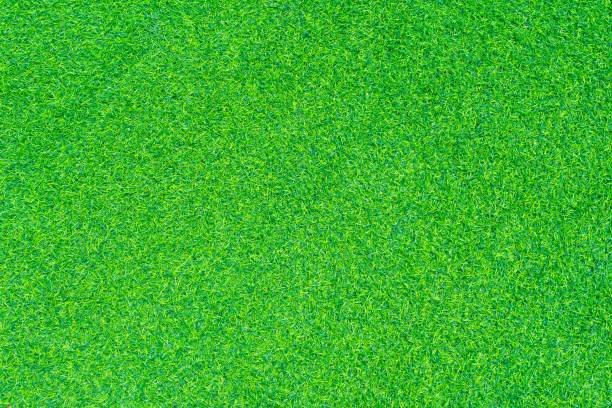 istock Beautiful of Artificial grass texture and background 1256807509