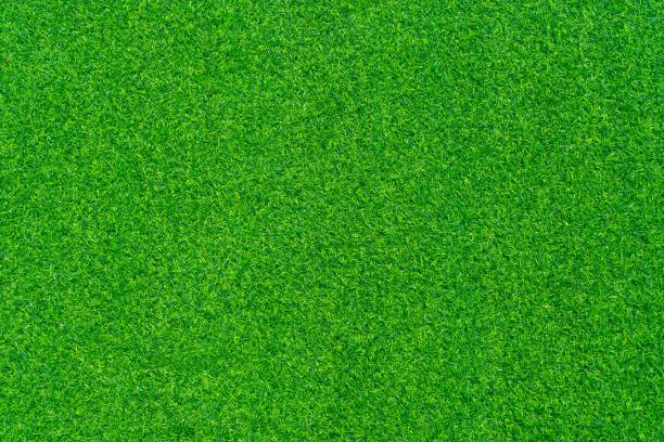 istock Close up shot of Artificial grass texture 1256807537