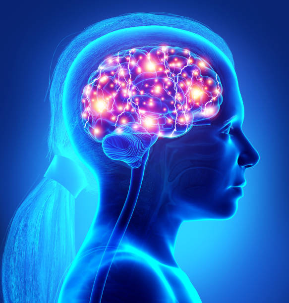 istock 3d rendered, medically accurate illustration of a young girl active brain 1256809045