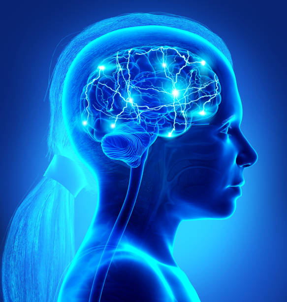 istock 3d rendered, medically accurate illustration of a young girl active brain 1256811112