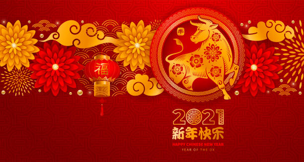 Chinese New Year 2021 Year Of The Ox Chinese New Year 2021, year of the Ox vector design. Paper cut Ox, flowers, clouds in red and gold colors on background with traditional pattern. Chinese characters mean Happy New Year, Ox, Good Luck. gold or aquarius or symbol or fortune or year stock illustrations