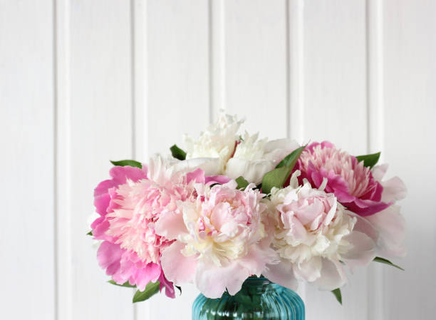 istock bouquet of light and bright pink peonies on a white Board background. 1256812773