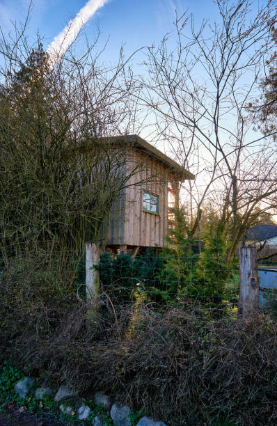 istock Small wooden tree house in a garden. 1256812780