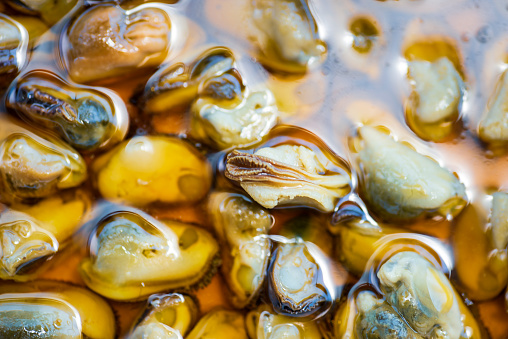 Mussels in oil making a background pattern closeup. Canned food and seafood abstract
